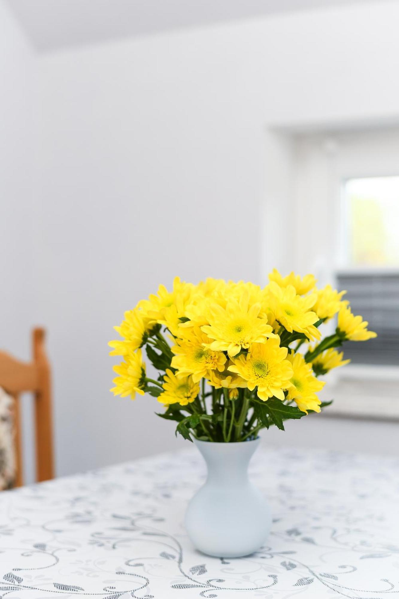 Ferienwohnung Nordmoor Blomberg  Exteriér fotografie